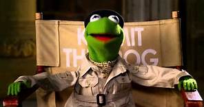 Kermit The Frog 10 Day Countdown | Muppets Most Wanted | The Muppets