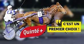 "ELLE RÉALISE UNE ANNÉE EXCEPTIONNELLE" | Pronostics Quinté+ 8 décembre à Vincennes