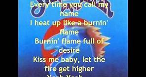 The Steve Miller Band - Abracadabra with lyrics