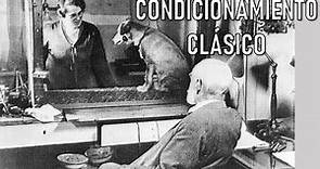 Pavlov y el Condicionamiento Clásico | Los Experimentos más Perturbadores #7 | Pedagogía MX