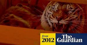 Life of Pi – review