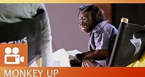 Monkey Up - Monkey Business