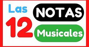 🥇 Las Notas Musicales - EXPLICACIÓN - Las 12 notas 7 + 5 ✅
