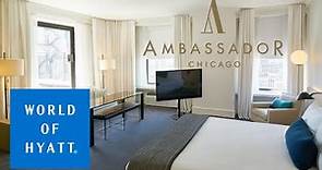 Ambassador Chicago Deluxe King Hotel Room Tour