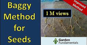 Improved paper towel and baggy method for germinating seeds (fast)