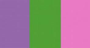 Nueva bandera feminista ¿Qué significan los colores?