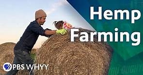 Hemp Farming - You Oughta Know (2020)
