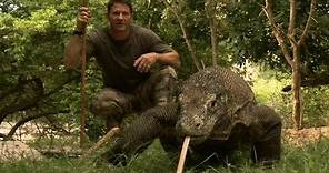 Largest Lizard on Earth | The Komodo Dragon | Deadly 60 | Indonesia | Series 3 | BBC