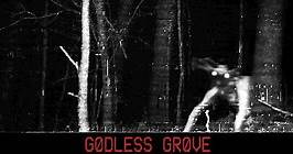 Godless grove: обзор, публикации, гайды и релиз шутер экшен игры Godless grove