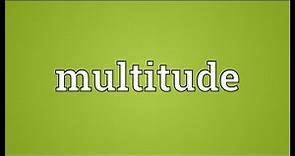 Multitude Meaning