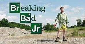 Breaking Bad Jr.