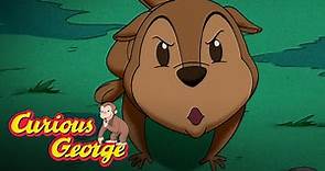 Creatures of the Night 🐵 Curious George 🐵Kids Cartoon 🐵 Kids Movies 🐵Videos for Kids