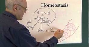 Homeostasis 1, Physiological Principles