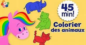 Coloriage pour enfants | Colorier des animaux | Le cheval arc-en-ciel | BabyFirst