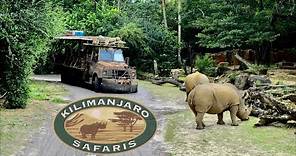 Kilimanjaro Safaris FULL Ride Experience at Disney's Animal Kingdom in 4K | Walt Disney World 2021