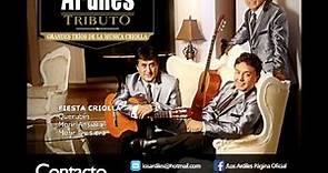 Los Ardiles - Tributo a los Grandes Tríos de la Música Criolla (Audio Oficial)