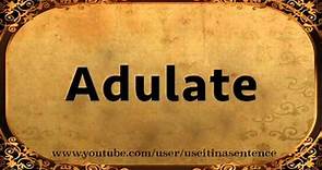 Use Adulate in a Sentence
