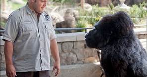Watch the Official ZOOKEEPER Trailer - In Theaters 7/8