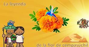 Leyenda: La flor de cempasúchil | Cuenta la leyenda | #Aprendeencasa #Leyendasmexicanas