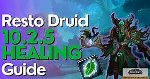 Restoration Druid 10.2.5 Beginner Guide for Raid & M+