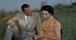 Love Is A Many Splendored Thing 1955 - William Holden, Jennifer Jones