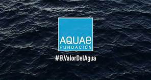 DÍA MUNDIAL DEL AGUA 2021 | El VALOR del AGUA | Fundación Aquae