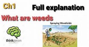 What are weeds ? What are Weedicides ? Full explanation