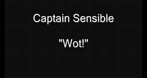 Captain Sensible - Wot [HQ Audio]