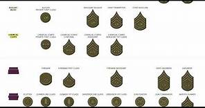 US Army World War I enlisted rank insignia