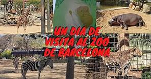 ZOO BARCELONA , un dia de visita con los animales.