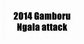 2014 Gamboru Ngala attack