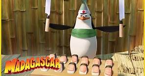 DreamWorks Madagascar en Español | Los Pingüinos Compilación | Dibujos Animados para Niños
