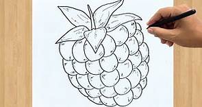 Raspberry Drawing for Beginners: Learn to Draw a Raspberry Easy Step by Step Guide