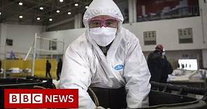 Coronavirus disease named Covid-19 - BBC News