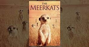 The Meerkats