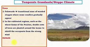 Steppe Climate (Temperate Grassland Climate) - PMF IAS