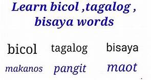 LEARN BISAYA, TAGALOG, BICOl WORDS
