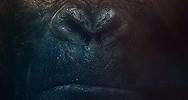 Kong: Đảo Đầu lâu - Kong: Skull Island (2017) [HD-Thuyết minh]