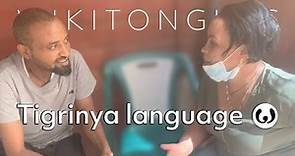 The Tigrinya language, casually spoken | Michael and Sennite speaking Tigrinya | Wikitongues