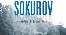 La voz de Sokurov (2014) Online - Película Completa en Español - FULLTV