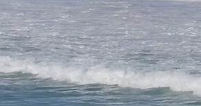 🌊🇷🇪les monstrueuses vagues ce matin dans l’ouest | Imaz Press Réunion (Page officielle)