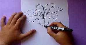 Como dibujar una flor paso a paso | How to draw a flower