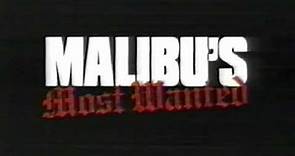 Malibu's Most Wanted Movie Commercial 2003