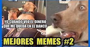 MEMES GRACIOSOS en español Memes de risa de WHATSAPP y TIK TOK #2