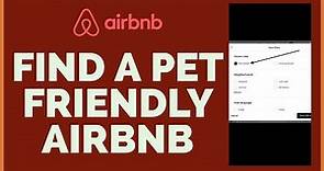 How To Find a Pet Friendly Airbnb 2023?