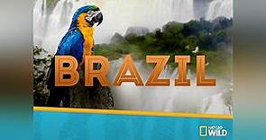 Brazil Season 1 Episode 1