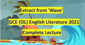 Wave by Sonali Deraniyagala Full Seminar by Javed Ossen