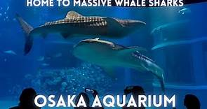 Osaka Aquarium Tour 2024 4K