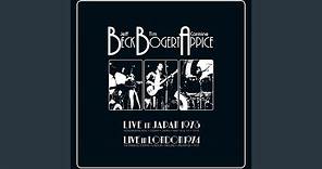 Black Cat Moan (Live at Koseinenkin Hall, Osaka, Japan 5/18 & 5/19, 1973)