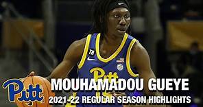 Mouhamadou Gueye Regular Season Highlights | Pittsburgh Forward